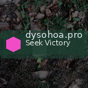 dysohoa.pro